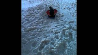 Crash 4 Year Old Boy Poled In Nuts Tobogganing [upl. by Eicram294]