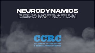 Neurodynamics  Demonstration [upl. by Attenrev462]