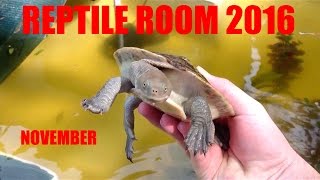 November Reptile Room Update 2016 [upl. by Kolnick289]