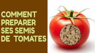 Comment Préparer et Réussir ses Semis de Tomates [upl. by Fital169]