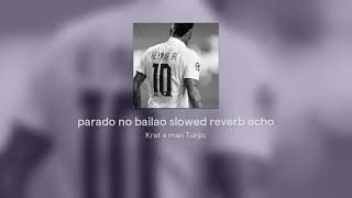 parado no bailao slowed reverb echo pitch [upl. by Eeleak276]