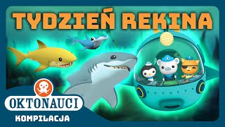 Oktonauci  🦈 MARATON Z OKAZJI TYGODNIA REKINA 🤿  Kompilacja  Całe odcinki [upl. by Ansilme412]