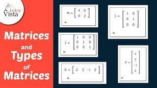 Matrices and Types of Matrices  Definition Examples [upl. by Anahs183]