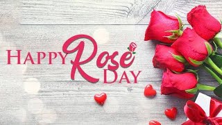 Rose day special status video Happy Rose day status video Rose day 2022Valentine day status video [upl. by Neeluqcaj]