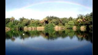 Oral History Video Steve Koski on Little Salt Spring Ecological and Archaeological Preserve [upl. by Lindi108]