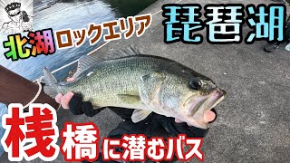 【琵琶湖バス釣り】人気バス釣りポイントの桟橋でバス釣り！琵琶湖バス釣りでは有名ポイントでいつも人が居る釣りポイントにたまたま入ったらバスは居た！冬のバス釣りは一誠issei高比重系ワームが効く！ [upl. by Bezanson]