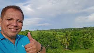 Lot for sale 41000 sqm San Remegio Cebu Philippines 250sqm [upl. by Drawdesemaj]