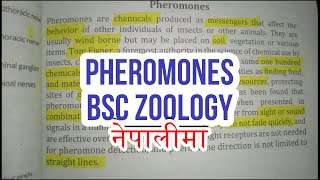 नेपालीमा What are Pheromones  Why is it important BSC Zoology Quick Revision [upl. by Ahtamas]