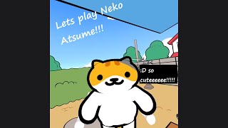 Lets Play Neko Atsume OMG THESE KITTIES ARE SOOOO CUTE D [upl. by Clyte]