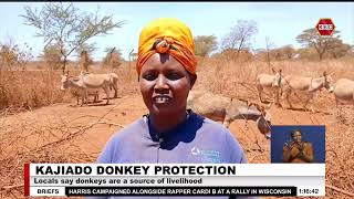 KajiadoOver 500 donkeys vaccinated against diseases [upl. by Eirdua]