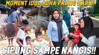 IDUL ADHA TANPA RAFFI NAGITA SEDIH RAFATHAR CIPUNG WAKILIN LANGSUNG POTONG SAPI QURBANNYA [upl. by Evyn103]