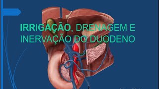 irrigacao drenagem inervação do duodeno [upl. by Aieka]