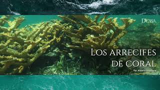 LOS ARRECIFES DE CORAL [upl. by Kolnick480]