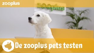 Josi  De zooplus pets testen Royal Canin Maxi Puppy [upl. by Marcello]