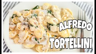 😋 CÓMO PREPARAR ALFREDO TORTELLINI  😱  Recetas Saludables Por Andrea [upl. by Hymen438]