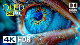 Mind Blowing OLED Dolby Vision  4K HDR 240 fps [upl. by Eehtomit]