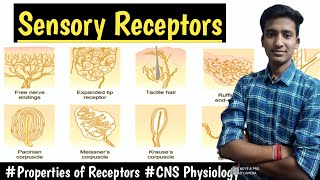 Sensory ReceptorsProperties of Receptors  CNS Physiology LecturesMBBS hindi Ashish [upl. by Koerner908]