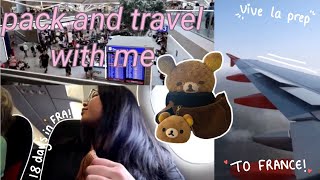 FRANCE BOUND Pack and Travel with Me to France  France Diaries Ep1 [upl. by Hayton627]