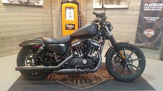 2019 HarleyDavidson Sportster Iron 883 XL883NBlack Denim [upl. by Benildis]