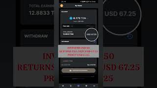 CT POOL MINING  DAY 136  TON COIN crypto miningpool cryptomining cryptocurrency money ton [upl. by Ohaus345]