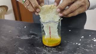 Thermocol Digestion Experiment Say No to Plastics1 [upl. by Roe]