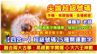 創建巔峰超級數字【四合一：25種開運目標】手機、車牌號碼、各種帳密【楊鶴朋｜融合兩大古學：易經數字開運大六壬神數】 [upl. by Chaffinch150]