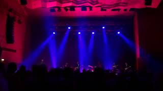 Iggy Pop  Nightclubbing HD 2022 live  Liederhalle  Stuttgart [upl. by Anatnahs]