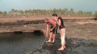 Cape York Tours Lakefield National Park [upl. by Sewell]