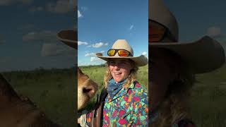 agriculture aussiecowgirl australianoutback [upl. by Towne]