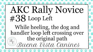 AKC Rally Novice 38 Loop Left [upl. by Adiaros]