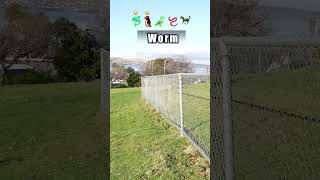 funny prank fails comedy funnyanimals bobbyustadroast gaming comedyfilms bobbyustad [upl. by Thorn]