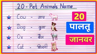 20 Pet Animals Name Hindi and English  पालतू जानवरों का नाम  Pet Animals Name in Hindi and English [upl. by Durant]