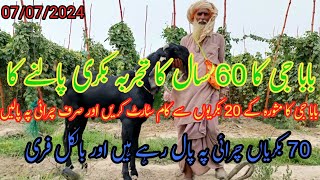 70 Bakri baba ji chirai per pal rahe hain aur bilkul free 7 July 2024 [upl. by Free]