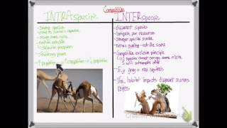 OCR A LEVEL BIOLOGY  UNIT 66  POPULATIONS AND SUSTAINIBILITY 12 [upl. by Sokul]