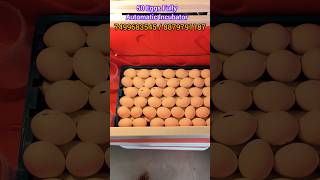 50 Eggs fully Automatic Incubator best hatching low price Incubator viralvideo [upl. by Katherin]