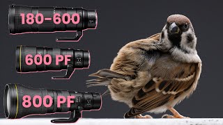 Nikon 180600 vs 600 PF vs 800 PF [upl. by Legin]