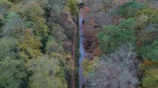 Basingstoke Canal Drone Footage  Deepcut  November 2024 [upl. by Idnahr]