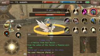 Iruna Online High Wizard vs Master Sauro lv350  solo [upl. by Hadwin]