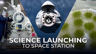 Science Launching on SpaceXs 31st Cargo Resupply Mission to the Space Station [upl. by Nollat]