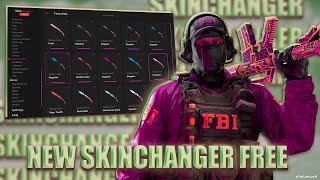 NEW Free CS2 Skinchanger Download 2024  Undetectable for All Skins amp Agents [upl. by Eaver]