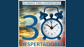 Alarma Despertador Con Sonido de Flauta Andina [upl. by Airak408]