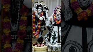 Radhe krishna status ❤️ aarti jigneshdadaradheradhe shorts radhekrishna [upl. by Aurea]