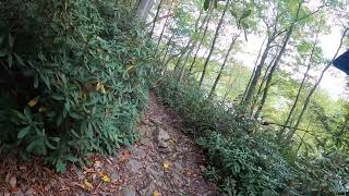 Hiking to Ohiopyle Falls [upl. by Hillyer138]