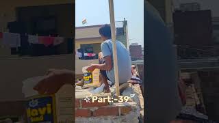 shorts status pigeon kabootarlovers💕❤️😍 viralvideo minivlog viralshort trending viral [upl. by Ettelorahc427]