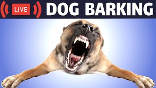 Dog Barking Sound  Dogs Barking Live Bark [upl. by Longmire]