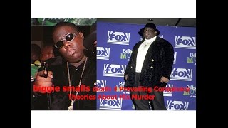 biggie smalls death 4 Prevailing Conspiracy Theories About His Murder  biggie smalls hypnotize [upl. by Chrissa]