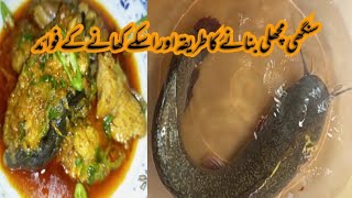 Singhi Machli recipe or uske Khane ka fawaid  2022 recipe  Madina kitchen with Lubna [upl. by Tiedeman]