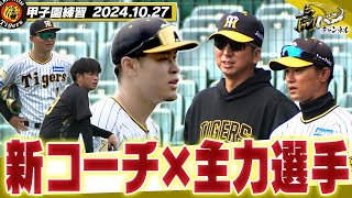 【新コーチ指導】今日も甲子園で体動かす藤川阪神。新コーチも精力的に指導！主力選手も笑顔で汗流してます！阪神タイガース密着！応援番組「虎バン」ABCテレビ公式チャンネル [upl. by Costanzia]