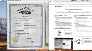 How to Apostille a Florida Birth Certificate [upl. by Ileana]