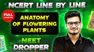 Anatomy of Flowering Plants FULL CHAPTER  NCERT Class 11th Botany  Chapter 5  Yakeen NEET [upl. by Werdma100]